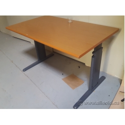 Teknion Maple 48" Height Adjustable Table Straight Desk